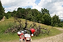Karpaty+Krym 06.2007 156